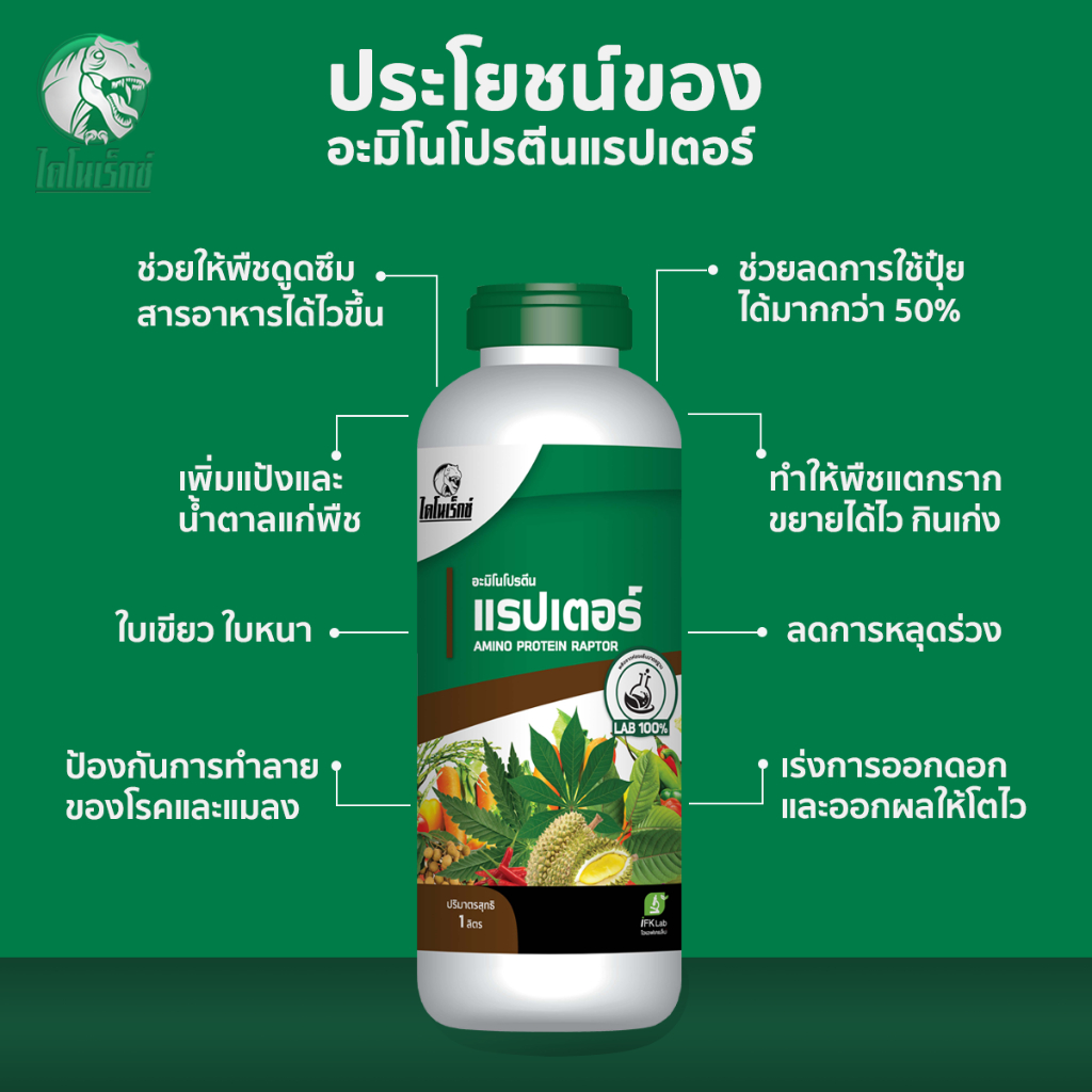 ปุ๋ยน้ำ [อะมิโนโปรตีนแรปเตอร์] อะมิโน 20ชนิดจำเป็นต่อพืช พืชดูดซึมไว ใช้ได้ทันที เสริมสร้างเซล์พืช ใบเขียว บรรจุ 1 ลิตร - รูปที่ 4