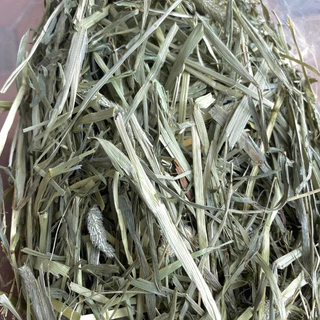 หญ้าทิมโมธีเกรดซุปเปอร์พรีเมี่ยม 1KG. ร่อนฝุ่น ดอกเยอะ หอม เขียว