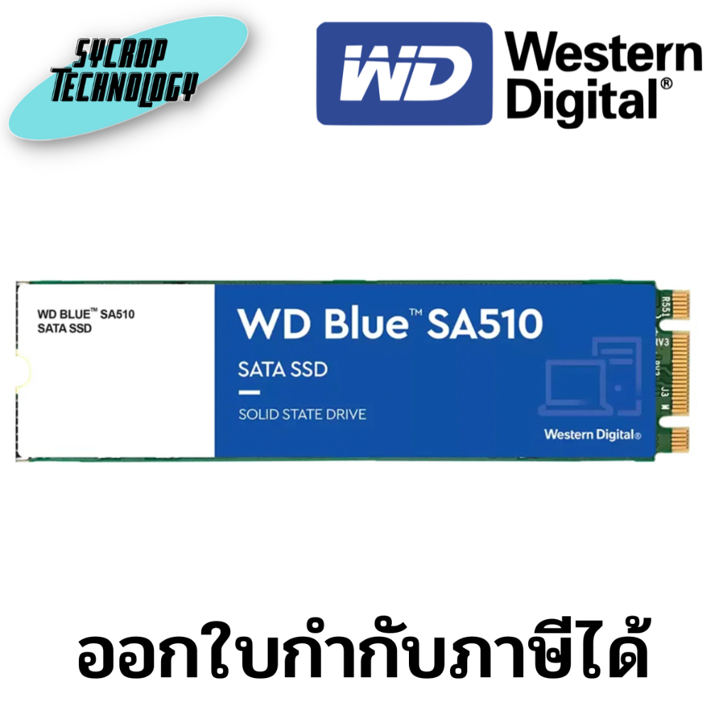 Western Digital WD 250GB Blue SA510 SATA SSD M.2 2280 (WDS250G3B0B) ประกันศูนย์ เช็คสินค้าก่อนสั่งซื