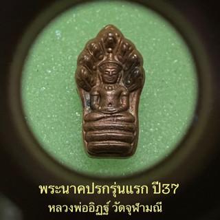 พระนาคปรกใบมะขานรุ่นแรกปี2537..หลวงพ่ออิฏฐ์..วัดจุฬามณี(เนื้อทองแดง)