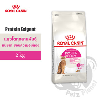 Royal Canin Protein Exigent อาหารสำหรับแมวโตกินอาหารยาก เลือกกิน ชอบอาหารที่มีโปรตีนสูง อายุ1ปีขึ้นไป ขนาด2กก.