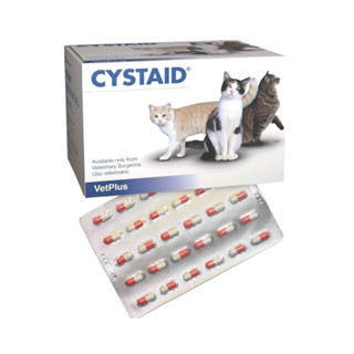 (ส่งไว ของแท้จากบริษัท)CYSTAID PLUS อาหารเสริมบำรุงทางเดินปัสสาวะ 1 กล่องใหญ๋ 240 เม็ด (EXP 06/2024)