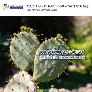 Cactus Extract 10% (Cactaceae) สารสกัดกระบองเพชร มีฤทธิ์ต้านอนุมูลอิสระ ช่วยยลดไขมันในเลือดและคอเลสเตอรอล เร่งการเผาผลาญ