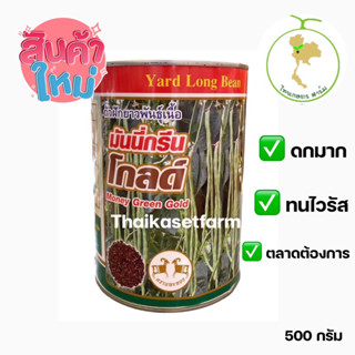 ถั่วฝักยาวมันนี่กรีนโกลด์500กรัม💥ตัวใหม่ล่าสุด💥เมล็ดทนโรคเชื้อรา ต้านไวรัสใบด่างเหลือง ถั่วเนื้อตรา แพะทอง