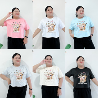 6000-IMG-28# เสื้อยืดครอป  6XL สกรีนลาย น้องแมว ลายน่ารักมาก