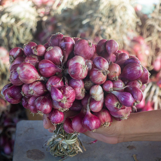 หอมแดงมัดจุก ศรีสะเกษแท้100% ตรงปก คุณภาพดี เนื้อแน่น หัวสวย 500-1000 กรัม - รูปที่ 3