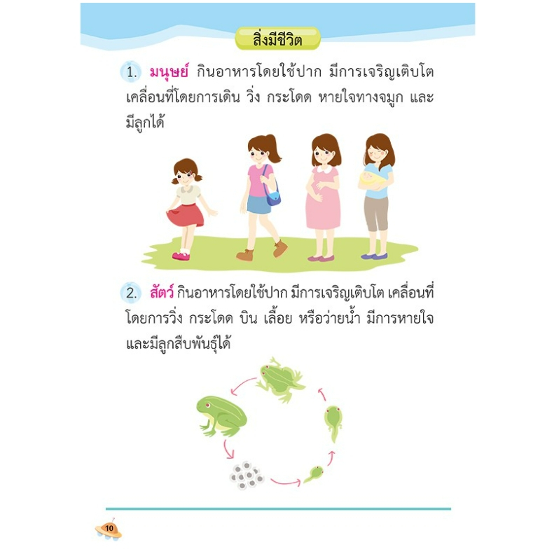 คู่มือ ป.1 ทบทวนเนื้อหา+แบบฝึกหัดเตรียมสอบ คู่มือเตรียมสอบภาษาไทย ป.1 คู่มือเตรียมสอบวิทยาศาสตร์ ป1 misbook เป็ดน้อย