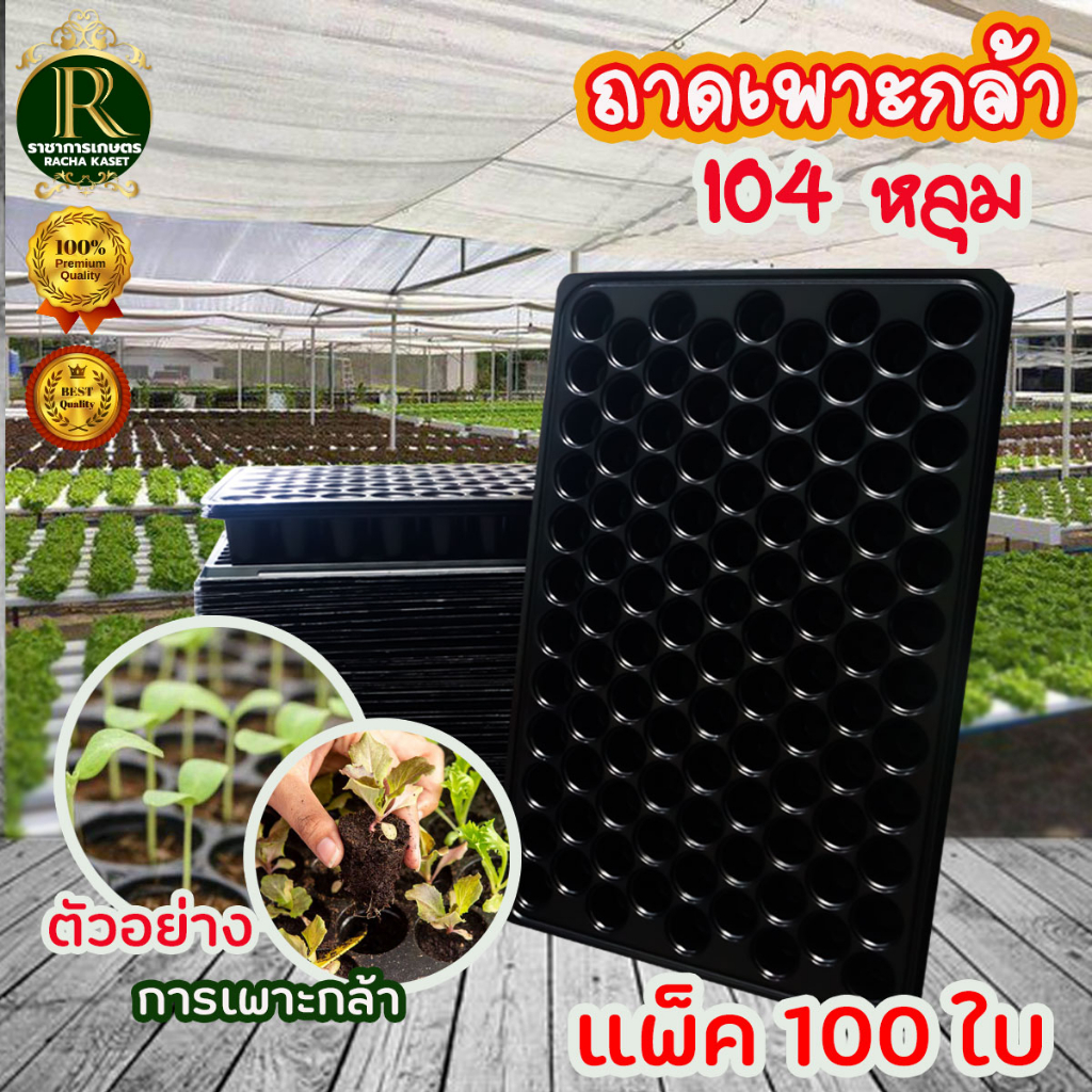 (ยกลัง 100ใบ) ถาดเพาะ ขนาด 104หลุม ถาดเพาะกล้า หนา  ทนทาน ใช้เพาะปลูกได้หลายรุ่น เพาะต้นกล้า ถาดเพาะกล้า ถาดเพาะต้นอ่อน