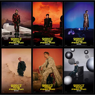 พร้อมส่ง โปสเตอร์ Exo Dont Fight The Feeling