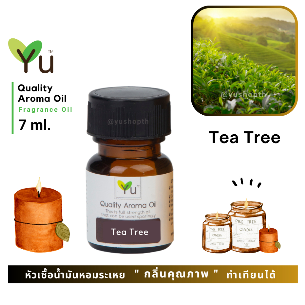   7 ml. กลิ่น Tea Tree (ทีทรี)   หัวเชื้อน้ำมันหอมระเหย กลิ่นคุณภาพ ! Quality Aroma Oil   เลือกกล่องได้ !