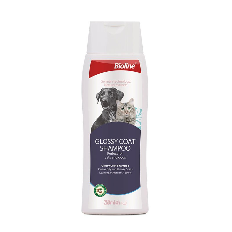 แชมพูสูตรเคลือบขนเงา Glossy shampoo-B2424