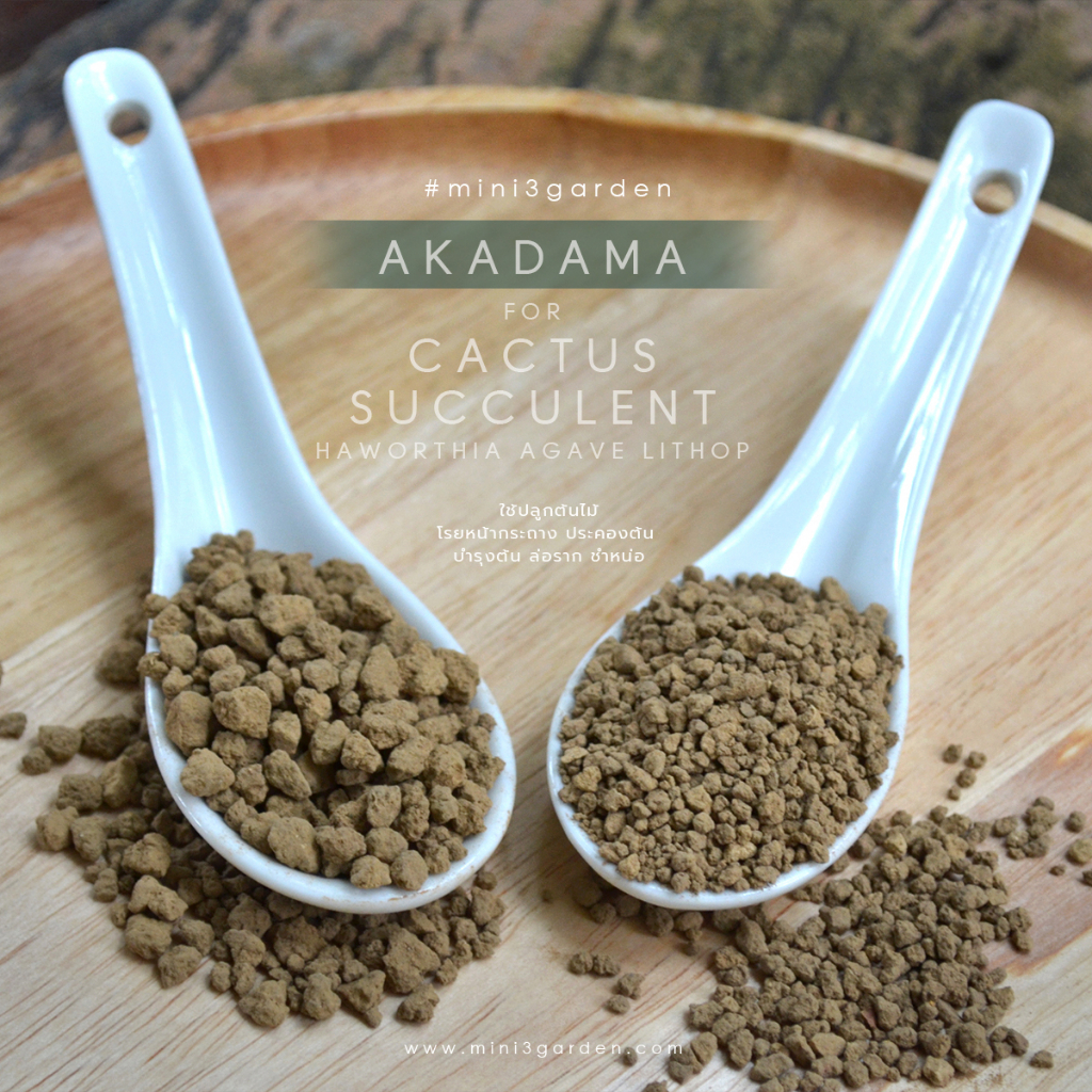ดินญี่ปุ่น อคาดามะ (AKADAMA SOIL) นำเข้าจากญี่ปุ่น ขนาด 1 กก.
