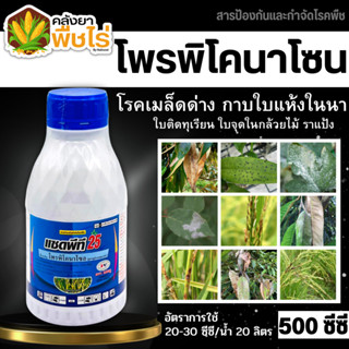 🌽 แซดพีที25 (โพรพิโคลนาโซล) 500ซีซี ป้องกันเชื้อรา เมล็ดด่าง แอนแทรคโนส