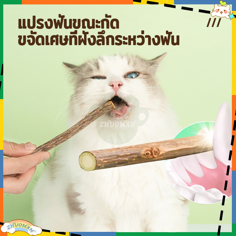 ขัดฟันแมว กัญชาสัตว์เลี้ยง ไม้มาทาบิ ฟันสะอาดลมหายใจสดชื่น บรรจุ 5 แท่ง ทำจากท่อนซุง หญ้าธรรมชาติ ไม่มีสารเติมแต่ง
