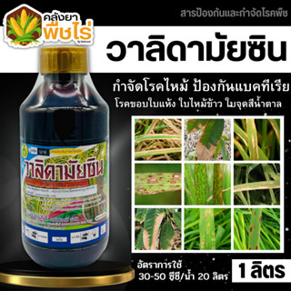 🌽 วาลิดามัยซิน (วาลิดามัยซิน) 1ลิตร สารป้องกันโรคใบไหม้ในนาข้าว