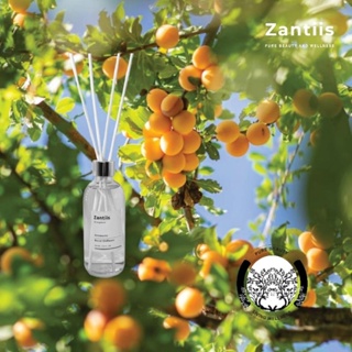 ZANTIIS AROMATIC REED DIFFUSER (250 ML)  สร้างบรรยากาศที่ดี ปรับอากาศ ก้านไม้หอมปรับอากาศ พืชบริสุทธิ์