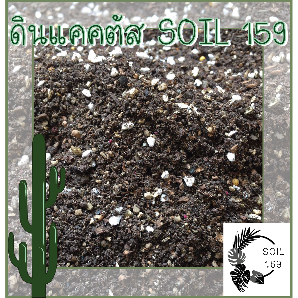 ดินแคคตัส (Soil 159) พร้อมส่ง