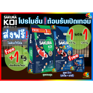 💥จัดส่งฟรี📌มี 3 โปร❗ อาหารปลาคาร์ฟซากุระโค่ย (Sakura Koi) สูตร🟢สมดุล🔵2in1/🟠เร่งโต/🌾วีทเจิม ขนาด 6.5 กก.