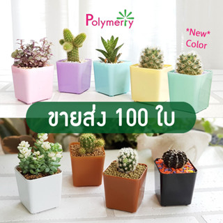 ขายส่ง 100 ใบ กระถางแคคตัส 2 นิ้ว 4 เหลี่ยมมน สีดำ ขาว อิฐ และ4 สีพาสเทล