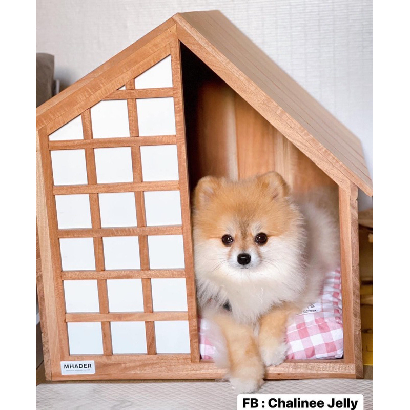 บ้านสุนัขและแมว Mhader