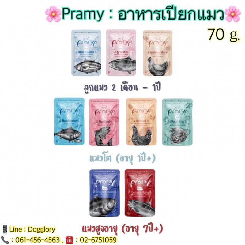 พรามี่ Pramy อาหารเปียก อาหารเปียกแมว ยกโหล 12 ซอง