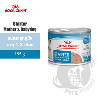 Royal Canin Starter Mother&amp;Babydog Mousse สำหรับแม่สุนัขตั้งท้อง ให้นม และลูกสุนัข หย่านม-2เดือน ขนาด195กรัม