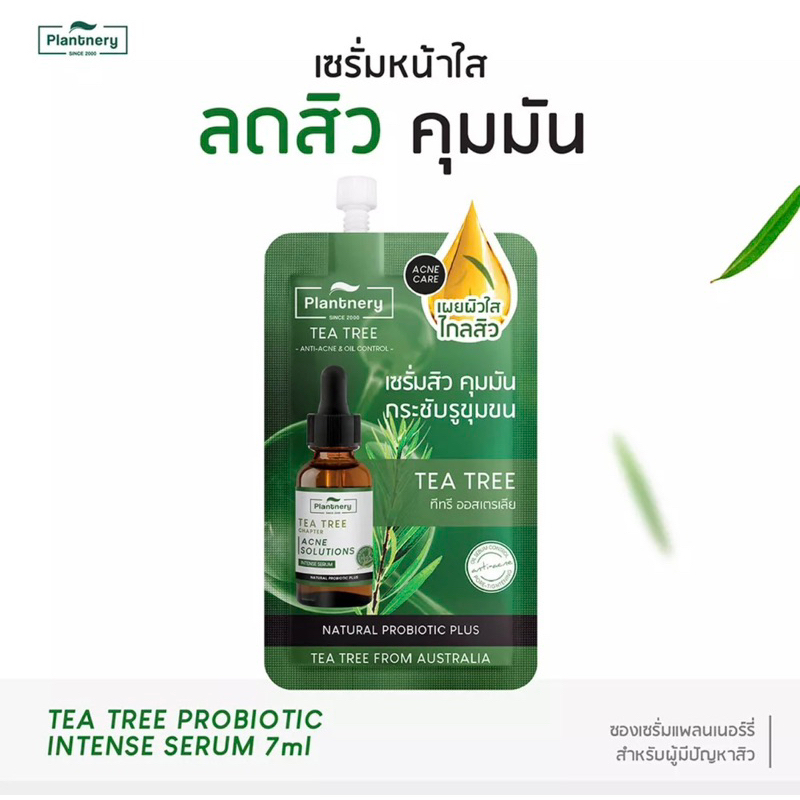 Plantnery Tea Tree Probiotic Intense Serum แบบซอง 7 ml เซรั่ม ทีทรี เข้มข้น ลดสิว คุมมัน เลือกได้ 1 หรือ 3 ซอง