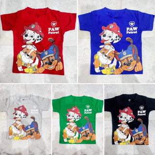 เสื้อยืดเด็กลายการ์ตูน Paw Patrol หลากสี ตอนรับซัมเมอร์