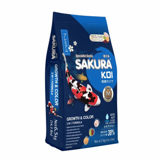 ซากูระโค่ย Sakura koi ขนาด 6.5 กิโลกรัม สูตร เร่งสี เร่งโต