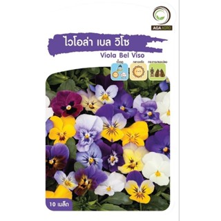 เมล็ดพันธุ์ ดอกไม้ ไวโอล่า เบล วิโซ (Viola Bel Viso)