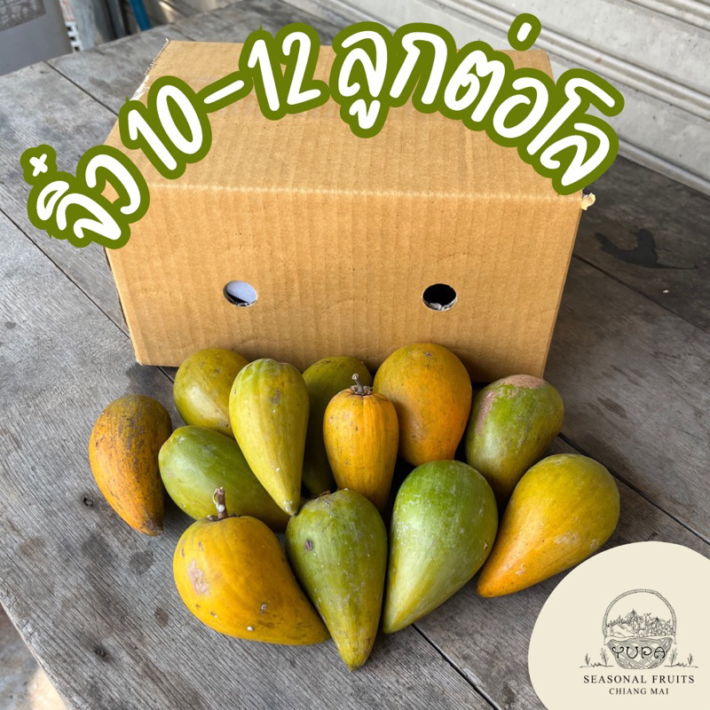 ( ปลายฤดู รอ 2-3 วันนะคะ ) เซียนท้อหรือม่อนไข่ ไซส์จิ๋ว 10-12 ลูกต่อโล สดๆ จากสวน