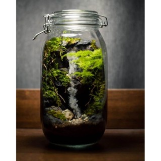 สวนขวดแก้วสำเร็จ​รูป​ จำลองระบบนิเวศ​น้ำตก​ สวนชื้น​ Terrarium​