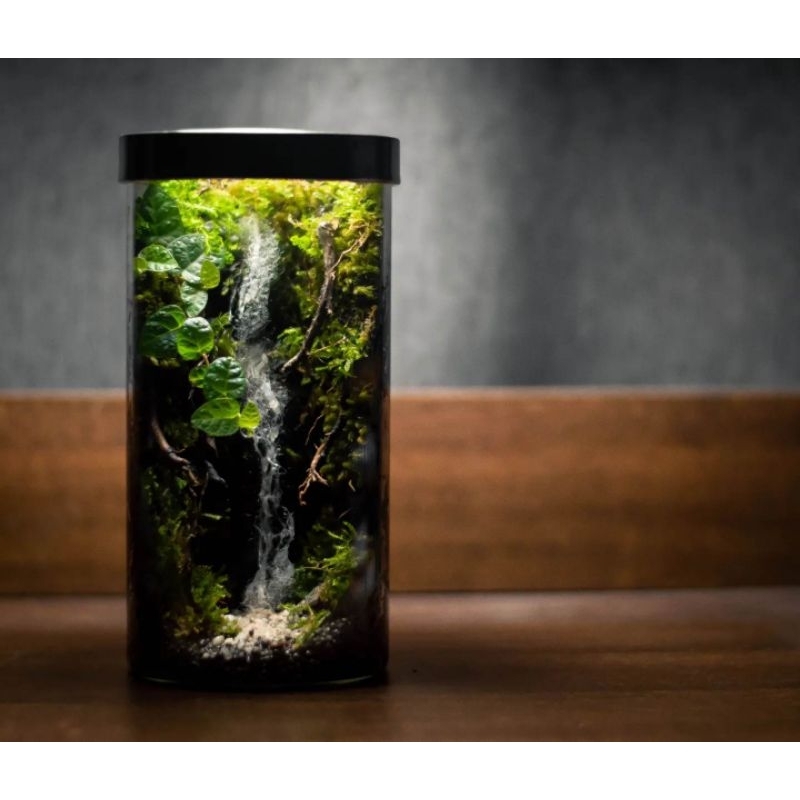 สวนขวดแก้วสำเร็จ​รูป​ จำลองระบบนิเวศ​น้ำตก​ สวนชื้น​ Terrarium​