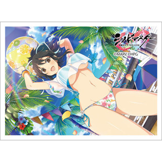 สลีฟการ์ด Shinobi Master Senran Kagura Sleeve Asuka