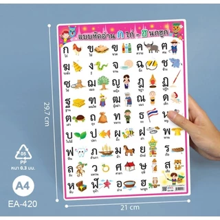 โปสเตอร์พลาสติก PP ก-ฮ, กไก่ ขนาด A4 OST รหัส EA-338,EA-340,EA-355,EA-417,EA-418,EA-420,EA388.