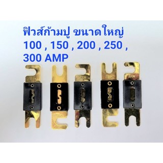 ฟิวส์รถยนต์ ก้ามปูใหญ่ 100A 150A 200A 250A 300A