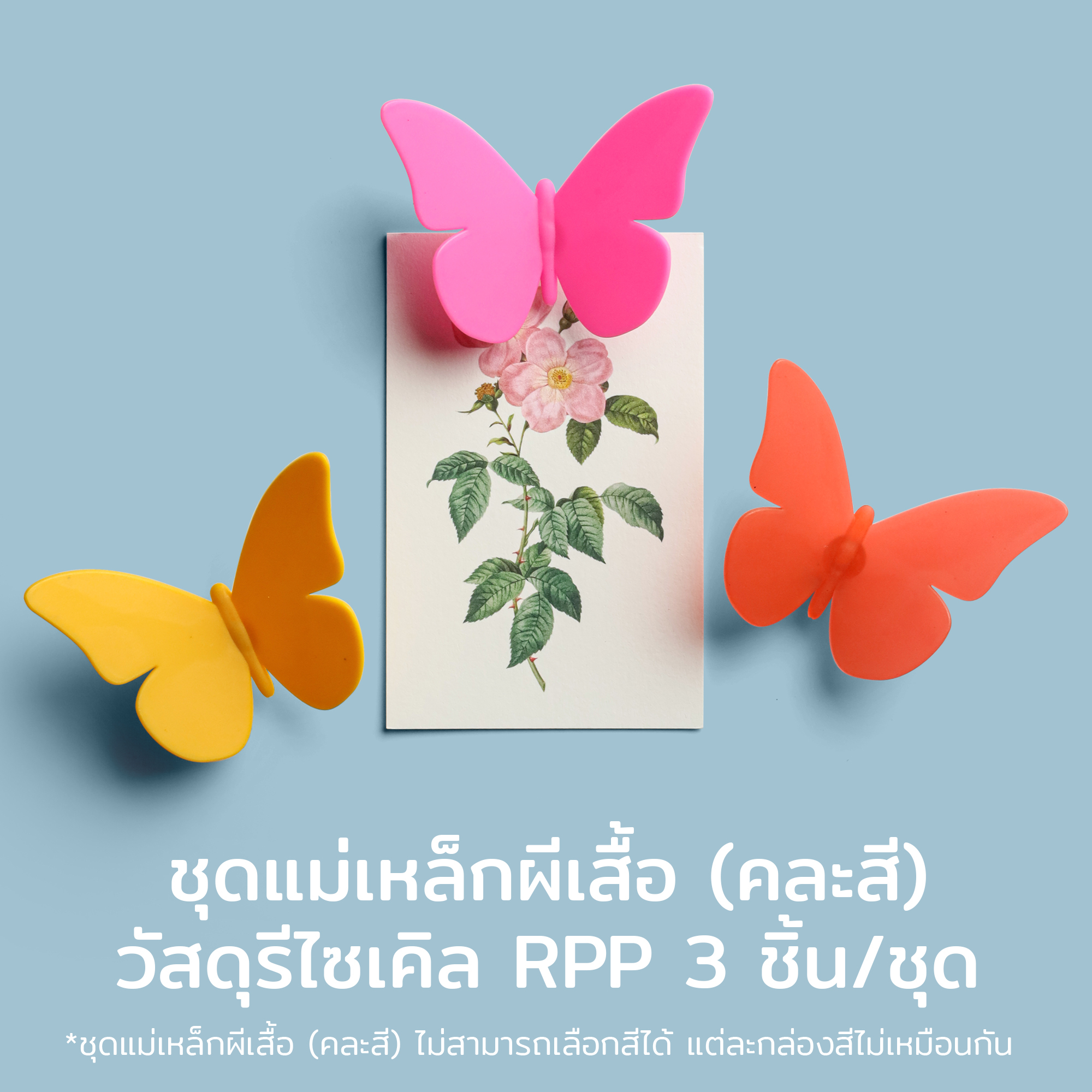 Butterfly Magnet 3pcs/set (random Color)  แม่เหล็กติดตู้เย็น ดีไซน์ ผีเสื้อ  (สุ่มสี) Qualy(ควอลี่)