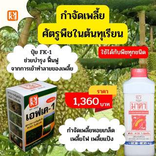 กำจัดเพลี้ย ศัตรูพืชในต้นทุเรียน มาคา สารอัลคาลอยด์สกัดจากธรรมชาติ FK-1 เร่งฟื้นฟูจากการเข้าทำลายของเชืั้อราในต้นทุเรียน