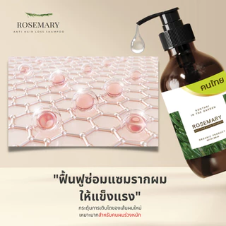 แชมพูลดผมร่วงหนักโรสแมรี่ เหมาะสำหรับคนเป็น longcovid ปลูกผม ลดผมร่วง shampoo rosemary ขนาด 280 ml.