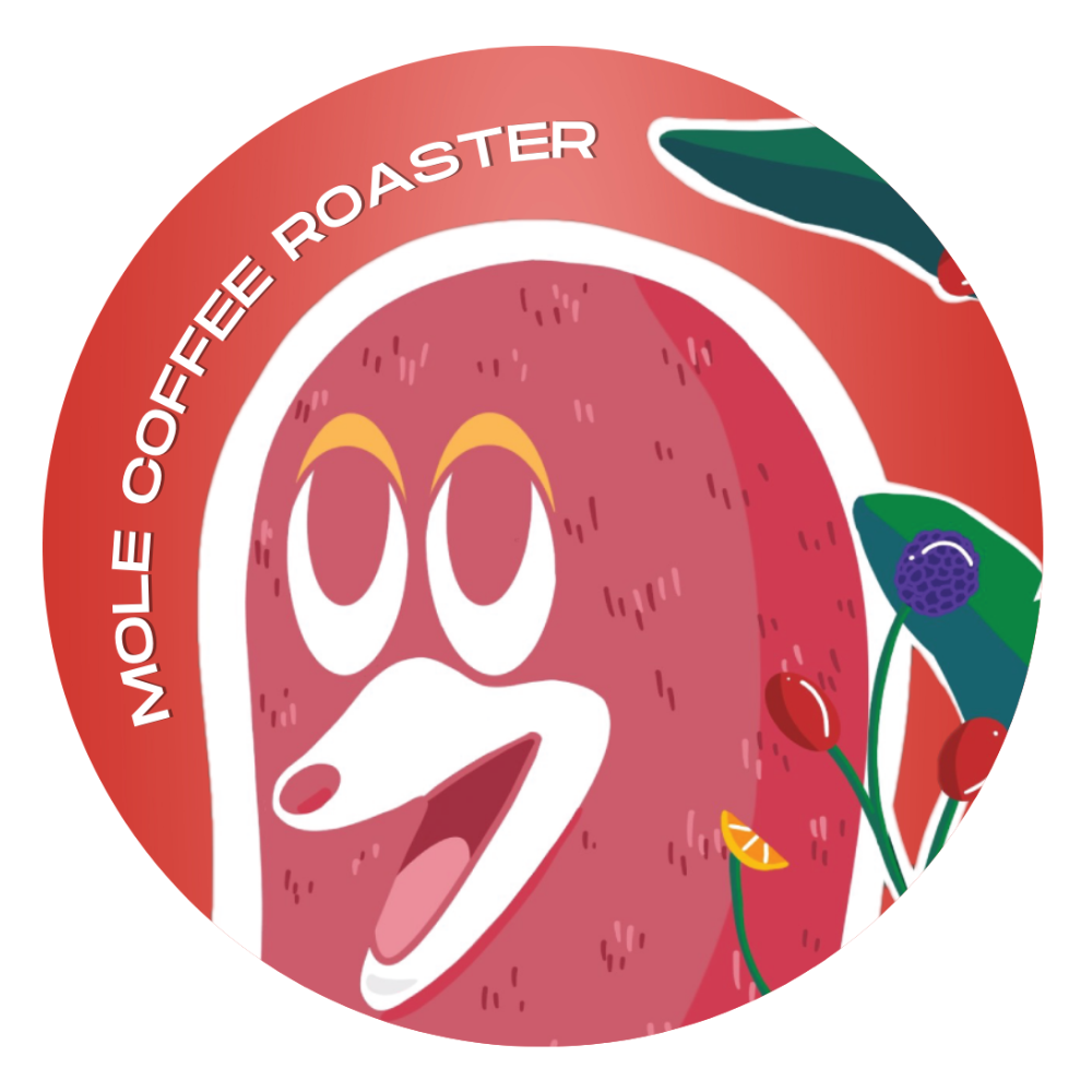 เมล็ดกาแฟคั่ว โรบัสต้า พรีเมียม เวียดนาม (Espresso) ส่งไว คั่วใหม่ - รูปที่ 3