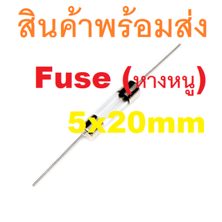 ฟิวส์หางหนู PCB  ฟิวส์หลอดแก้วหางหนู  2 ขา Glass Fuse บัดกรี หางหนู หลอดแก้ว 5x20mm 250V 1A 3A 6.3A 10A 15A