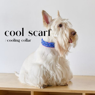 𝗠𝗨𝗦𝗧 𝗛𝗔𝗩𝗘 𝗜𝗧𝗘𝗠!!Cool scarf -Cooling collar  ♡ ꕀ summer essential ปลอกคอเย็น ลดความร้อน สำหรับคนและสัตว์เลี้ยง