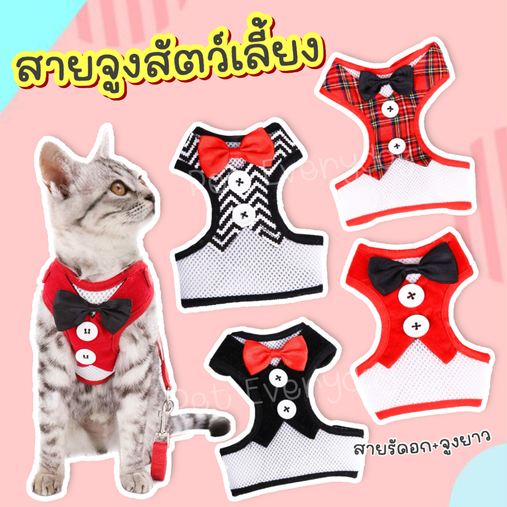🔥ส่งฟรี 🇹🇭🔥พร้อมส่ง!🐕‍🦺สายจูงสัตว์เลี้ยง สายรัดอก สายจูงสุนัขและแมว
