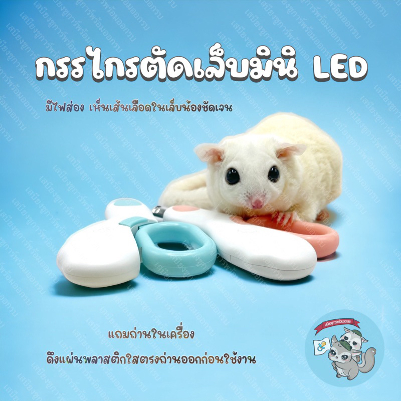 V ( กรรไกรตัดเล็บไฟฉายมินิ ) MINI กรรไกรตัดเล็บชูการ์ กรรไกรตัดเล็บ กรรไกรสัตว์เลี้ยง กรรไกร ตัดเล็บ ชูการ์ สัตว์เลี้ยง