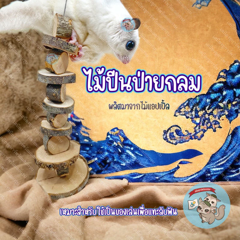 V ( ไม้ปีนป่ายกลม ) ของเล่นไม้ปีนป่ายกลม ของเล่น ของเล่นไม้ ไม้แทะ ไม้แอปเปิ้ล กระรอก ของเล่นชูการ์ ของเล่นแฮมสเตอร์
