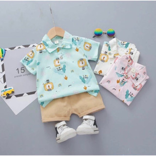 🎉🎉(พร้อมส่ง‼️)🎉🎉ชุดเสื้อยืดแฟชั่นเด็ก คอปกลายสิงโต