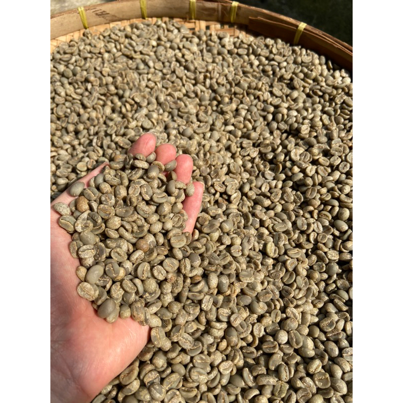 สารกาแฟขุนลาวปี69 Wash process 1kg.