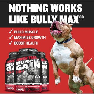 +พร้อมส่ง+ Bully Max Dog อาหารเสริมโปรตีน สร้างกล้ามเนื้อ โครงสร้างแข็งแรง สำหรับสุนัข 60 เม็ด