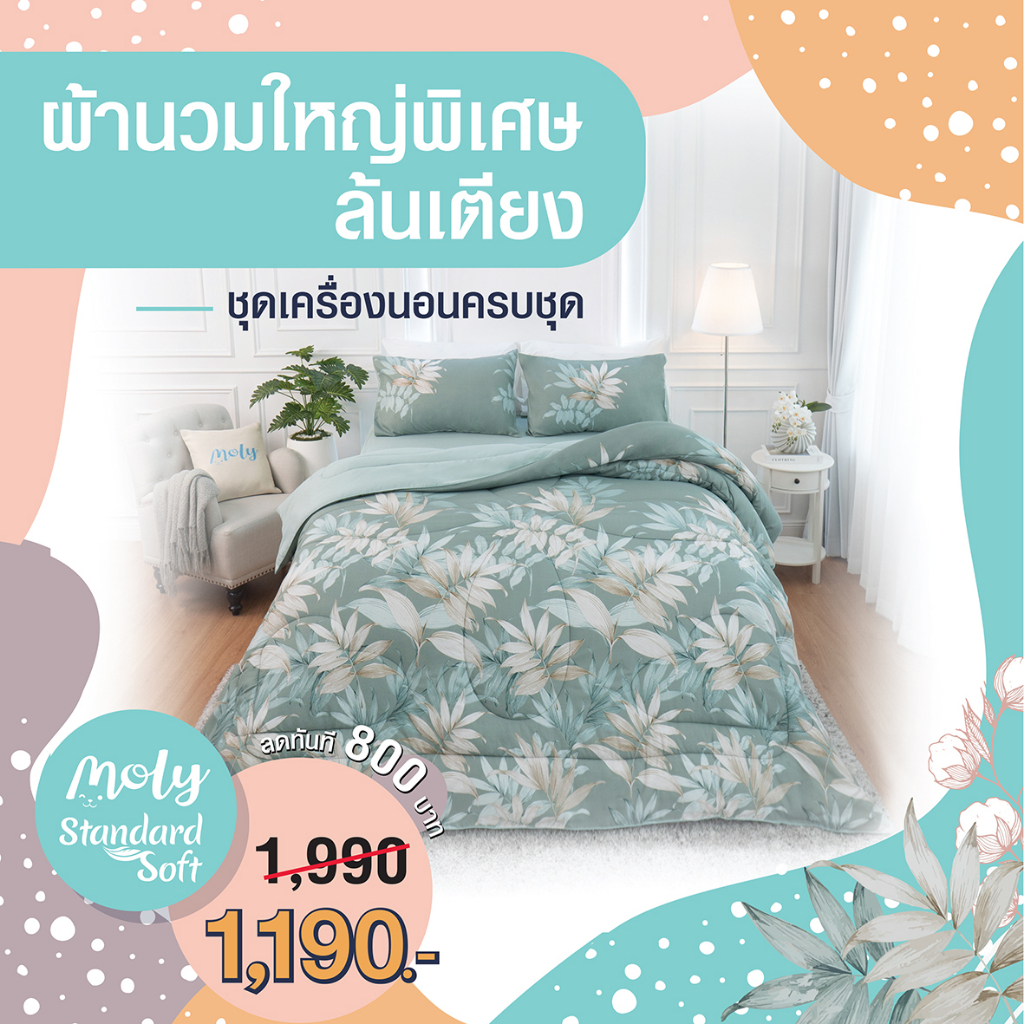 ชุดเครื่องนอน Moly รุ่น Standard Soft