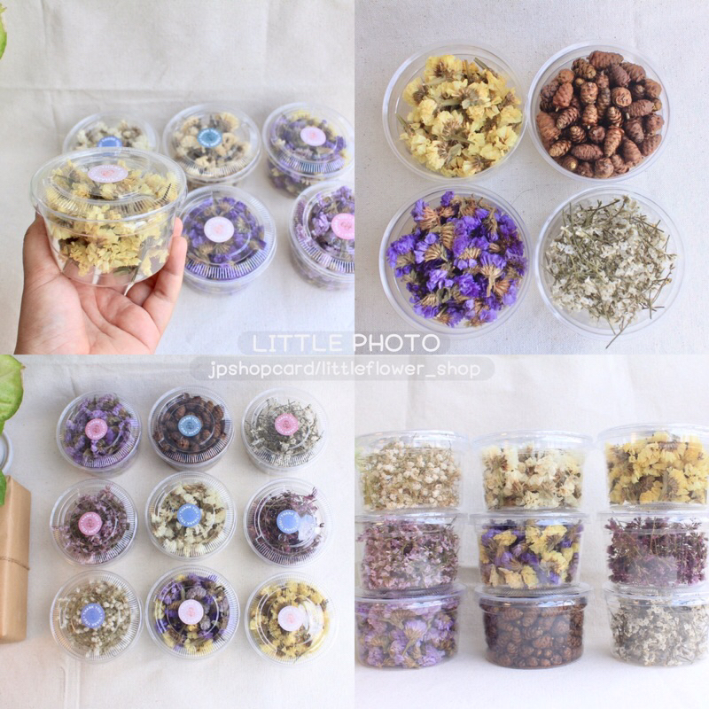 JPCraft🌻-ดอกไม้diy สำหรับใช้ตกเเต่ง กลีบดอกไม้แห้ง(F10)
